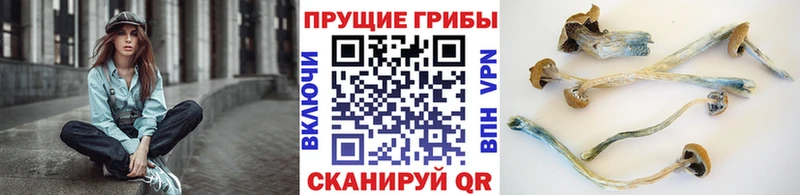 Галлюциногенные грибы Cubensis  Купить где  Шарья 