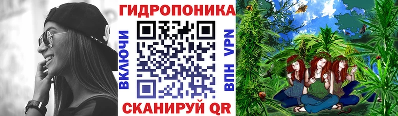 Канабис конопля Шарья
